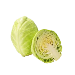 1/2 choux dur cat1 BELGIQUE