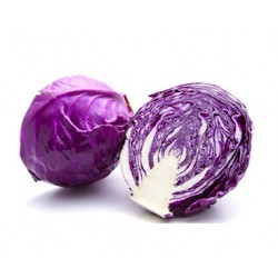1/2 choux rouge CAT1 BELGIQUE