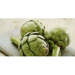 artichaut lot de 2  cal 12 esp