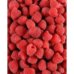 FRAMBOISE 125g esp ou maroc