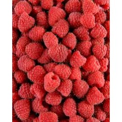 FRAMBOISE 125g PORTUGAL