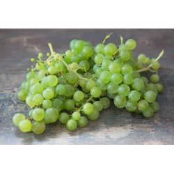  RAISIN BLANC  au kg AFS