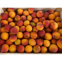  confiture ABRICOT  colis...