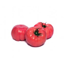  TOMATE ROSE DE BERNE kg...