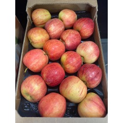 POMMES dalinette kg FRANCE