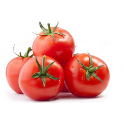 TOMATE 57-67 KG POLOGNE