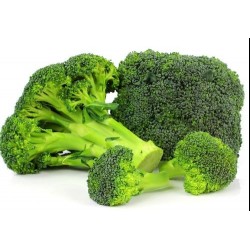  BROCOLI au kg ESPAGNE