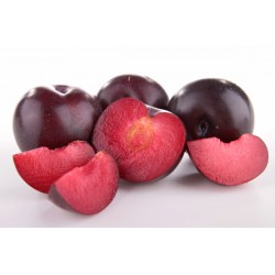  PRUNE ROUGE ESPAGNE cat1