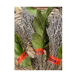 thym laurier frais bouquet mix
