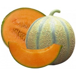 MELON BOULE D OR la pièce...