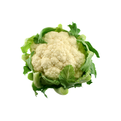 CHOU-FLEUR la pièce BEL