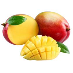 MANGUE la pièce cat1 COTE D...