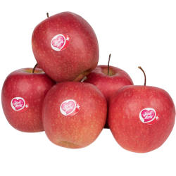  POMME PINK LADY italie au kg