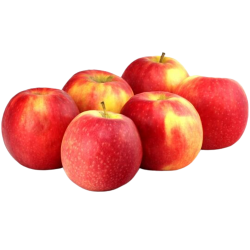  POMME CRIPPS PINK 150-220...