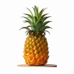 ANANAS a8 la pièce CI