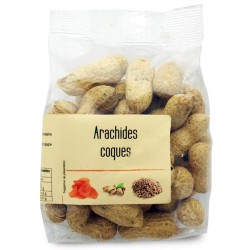 Arachides coques paquet 95g