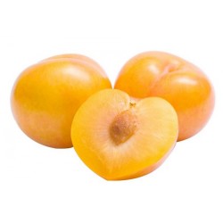  PRUNE TC SUN JAUNE FR