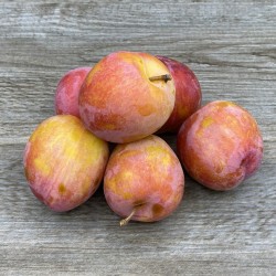  PRUNE OZARD france