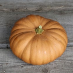  courge muscade entiére au...