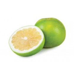  PAMPLEMOUSE BLANC JACKSON...