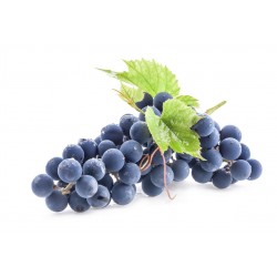  RAISINS BLANC INDE cat1