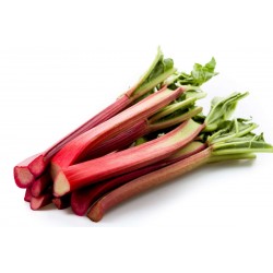 RHUBARBE au kg FRANCE