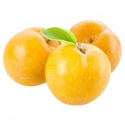 PRUNE JAUNE TC SUN FRANCE