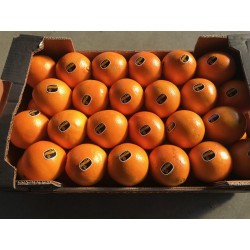  ORANGE COLIS 10KG +/- 500G...